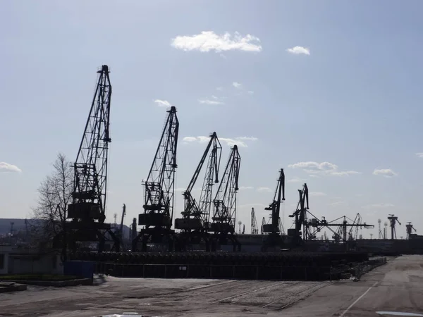 Grúas Astillero Puerto Marítimo — Foto de Stock