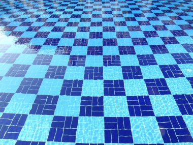 Mavi Yüzme Havuzu yer karoları