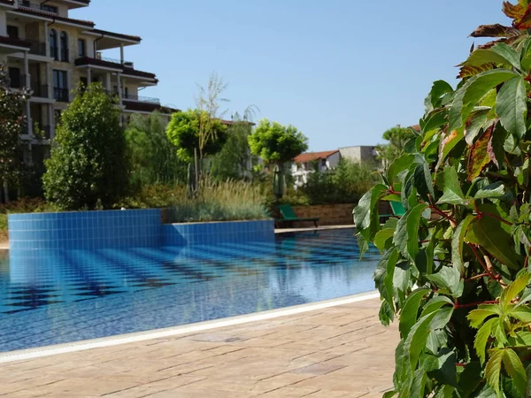 Swimming Pool Green Garden — Stock Photo, Image