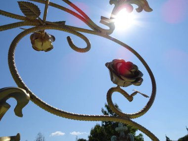 Altın gül gökyüzü arka plan üzerinde