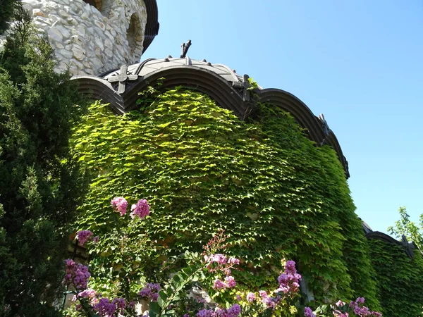 Edificio Cubierto Con Una Planta Arrastre Verde — Foto de Stock