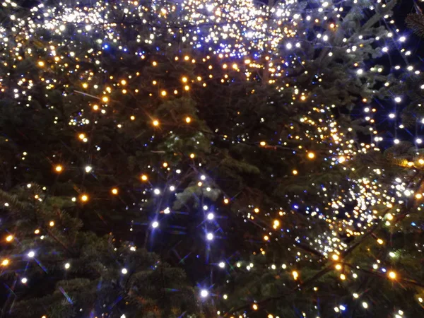 Bulanık Renkli Noel Işıkları — Stok fotoğraf