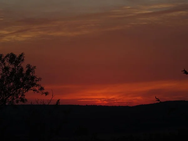 Krásný Pohled Růžové Oblohy Západ Slunce — Stock fotografie