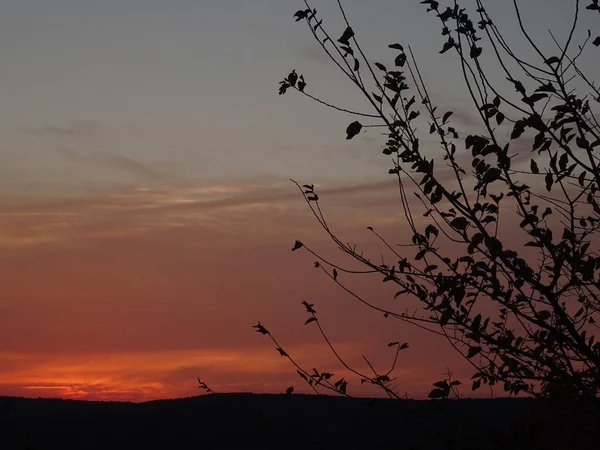 Bella Vista Pink Sunset Sky — Foto Stock