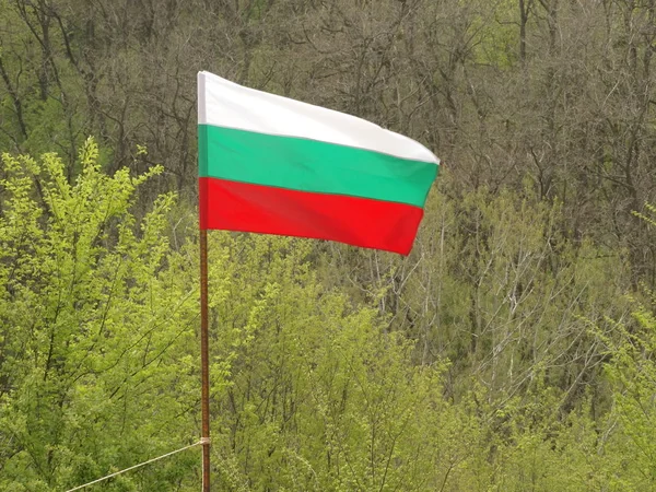 Bulgaarse Nationale Vlag Tegen Achtergrond Van Groene Natuur — Stockfoto