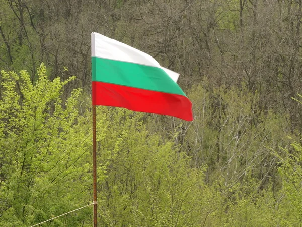 Bulgarische Nationalflagge Vor Dem Hintergrund Der Grünen Natur — Stockfoto