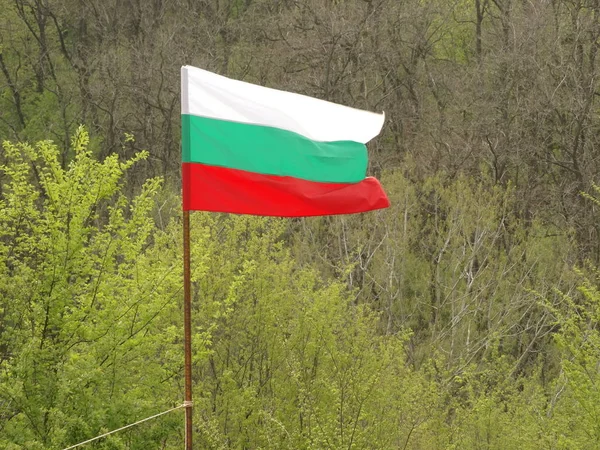 Bulgaarse Nationale Vlag Tegen Achtergrond Van Groene Natuur — Stockfoto