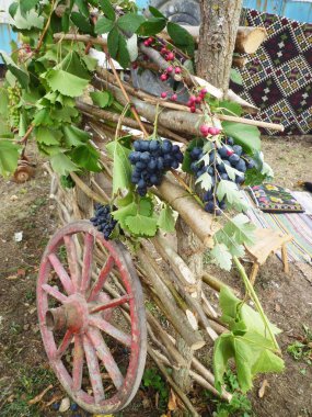 Ahşap sepetinde kırmızı üzüm