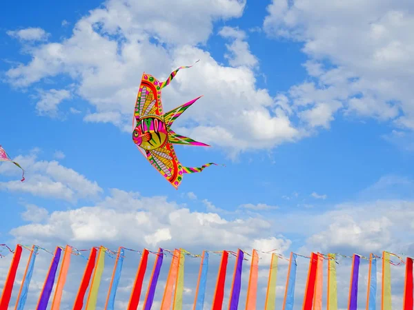 Kleurrijke Vlieger Lucht — Stockfoto