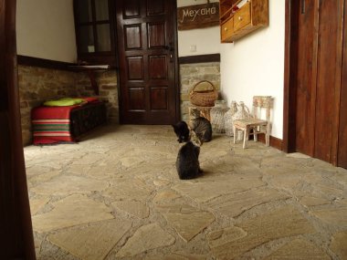 Bir yerli Bulgar evin önünde katta kediler