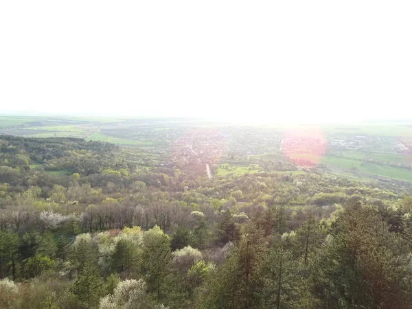Blick Auf Grüne Landschaft Von Oben — Stockfoto