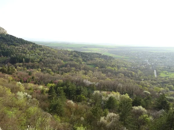 Zelená Krajina Pohled Shora — Stock fotografie