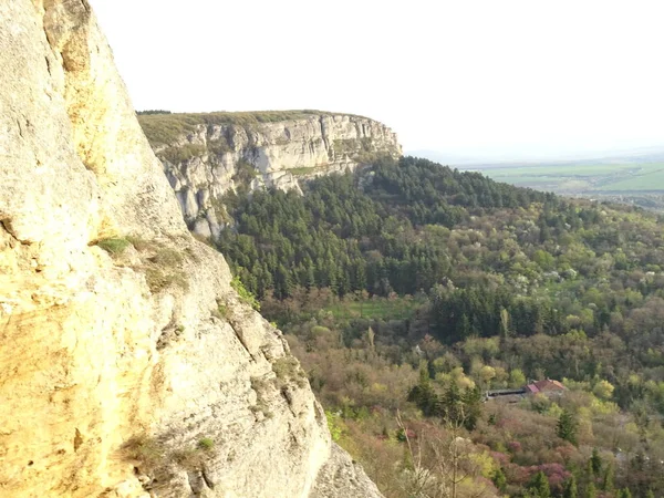 Blick Auf Grüne Landschaft Von Einem Hohen Felsen — Stockfoto