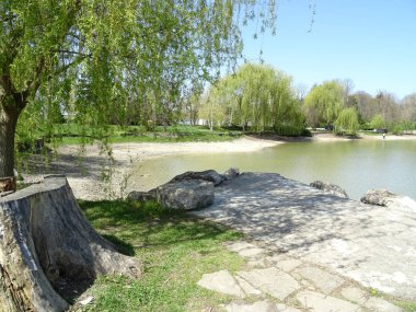 Yeşil orman arasında göl