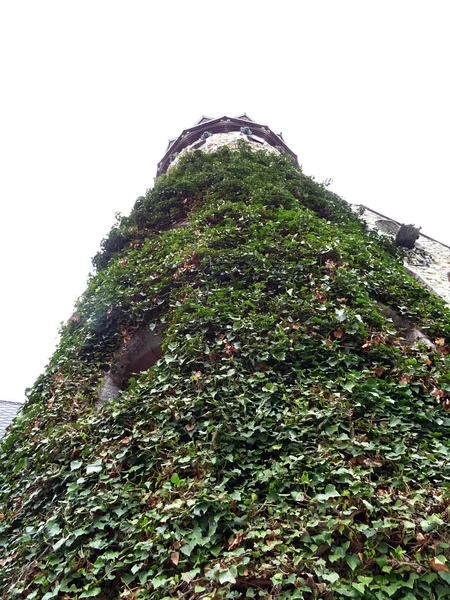 Veduta Del Vecchio Edificio Pianta — Foto Stock