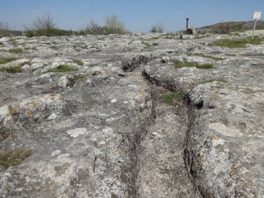 Yapılan kazılarda bir taş yol