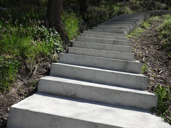 Escaliers Béton Dans Nature — Photo