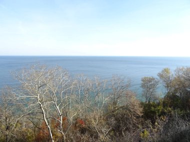 Deniz arka planda çıplak ağaçlar