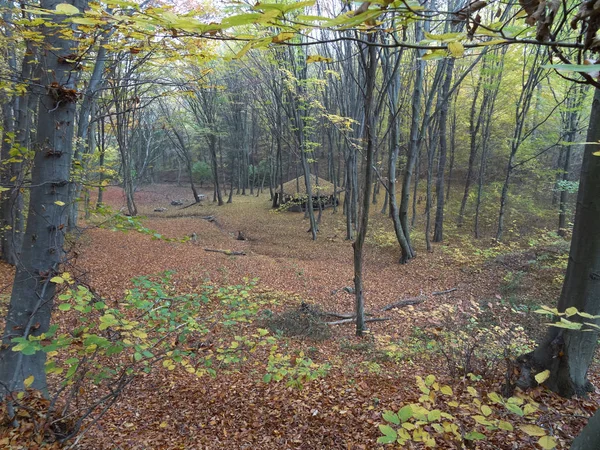 Litet Trähus Höst Skog — Stockfoto