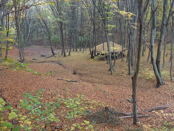 Litet Trähus Höst Skog — Stockfoto