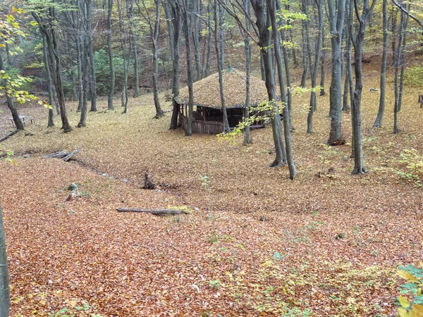 Malý Dřevěný Dům Podzimním Lese — Stock fotografie