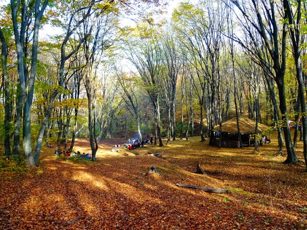 Herbst Wald Tag Itme — Stockfoto