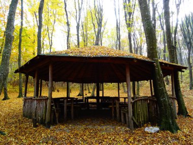 Sonbaharda Ahşap Orman Evi