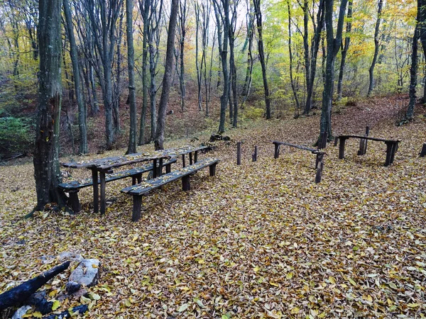 Holzbänke Und Tische Herbstlichen Wald — Stockfoto