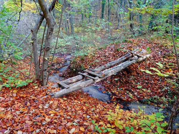 Малий Дерев Яний Міст Осінньому Лісі — стокове фото