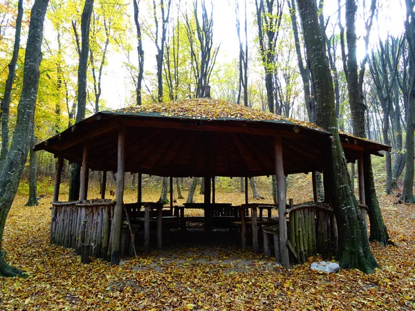 Wooden Forest House in Autumn