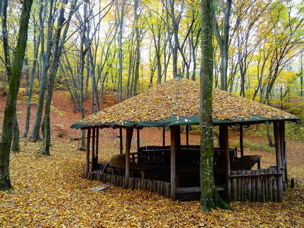 Sonbaharda Ahşap Orman Evi
