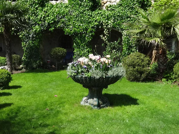 Vaso Flor Pedra Com Ornamentos Jardim Verde — Fotografia de Stock