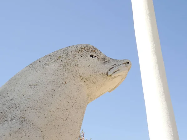 White Seal Statue Daytime — ストック写真