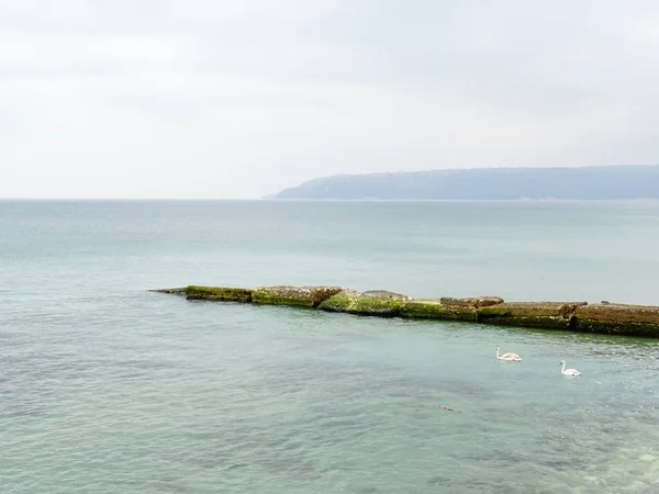 Kleiner Steg Meer Tag — Stockfoto