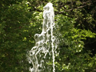 Çeşme hamle bir yeşil ağaç arka planı