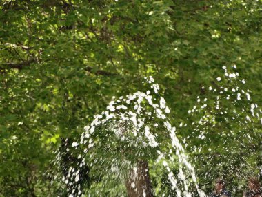 Çeşme hamle bir yeşil ağaç arka planı