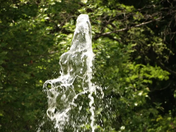 Fontaine Spurt Sur Fond Arbre Vert — Photo