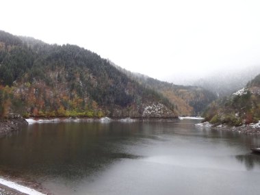 Göl ağaçlar arka plan karşı karla kaplı