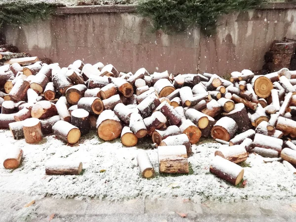 Karla Kaplı Yakacak Odun — Stok fotoğraf