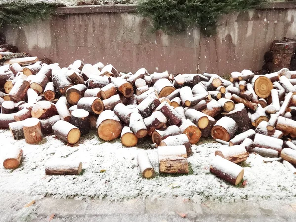 Ξύλα Καλυμμένα Χιόνι — Φωτογραφία Αρχείου