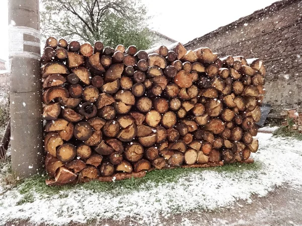 Lenha Coberta Neve — Fotografia de Stock