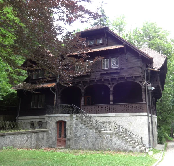 Facade Peles Castle Romanya — Stok fotoğraf