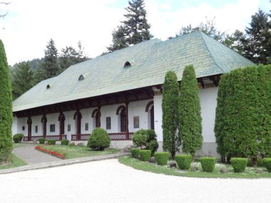 Yeşil bir çatı ile Romanya ev