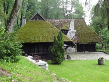 Bran Kalesi bahçesinde çatı Moss ile bir ev, 