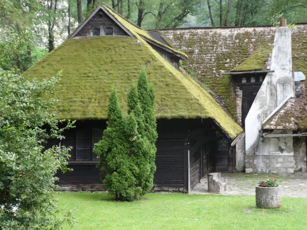 Ett Hus Med Moss Taket Trädgården Bran Castle — Stockfoto