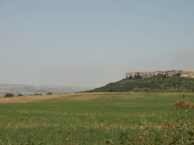 Plato ve yeşil alanlar