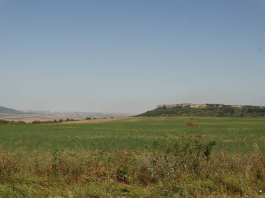 Plato ve yeşil alanlar