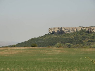 Plato ve yeşil alanlar