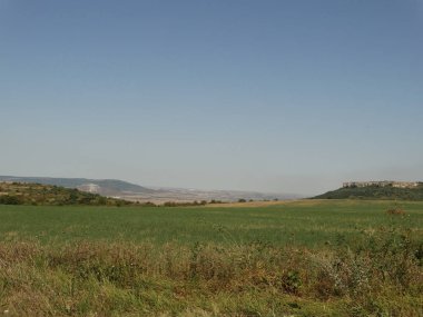 Plato ve yeşil alanlar