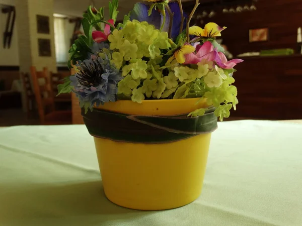 Žlutá Interiér Květináč Barevnými Květy — Stock fotografie